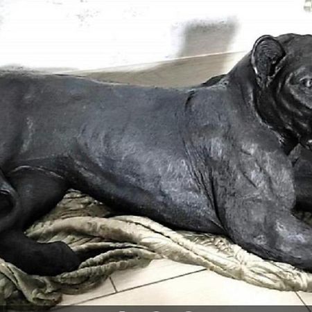 Zoologite サン・テニャン エクステリア 写真