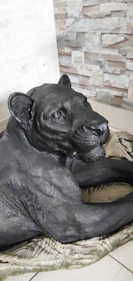 Zoologite サン・テニャン エクステリア 写真