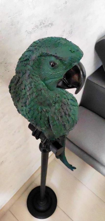 Zoologite サン・テニャン エクステリア 写真